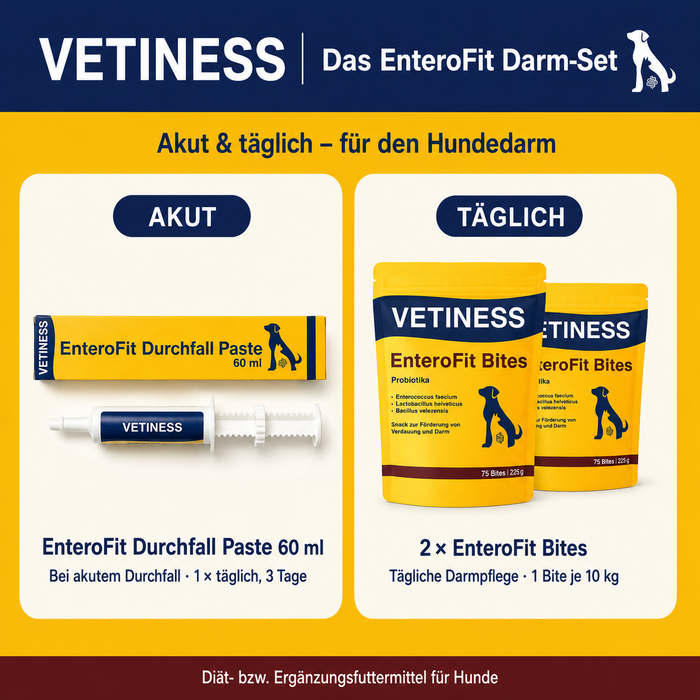 Vetiness Verdauungsset für Hunde – EnteroFit Probiotika Bites und Durchfall Paste im Set