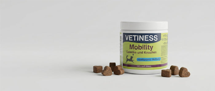 Vetiness Mobility – Dose mit Soft Chews für Gelenke und Knochen