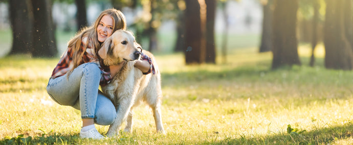 Probiotika bei Hunden nach Durchfall: Unterstützung für eine gesunde Verdauung