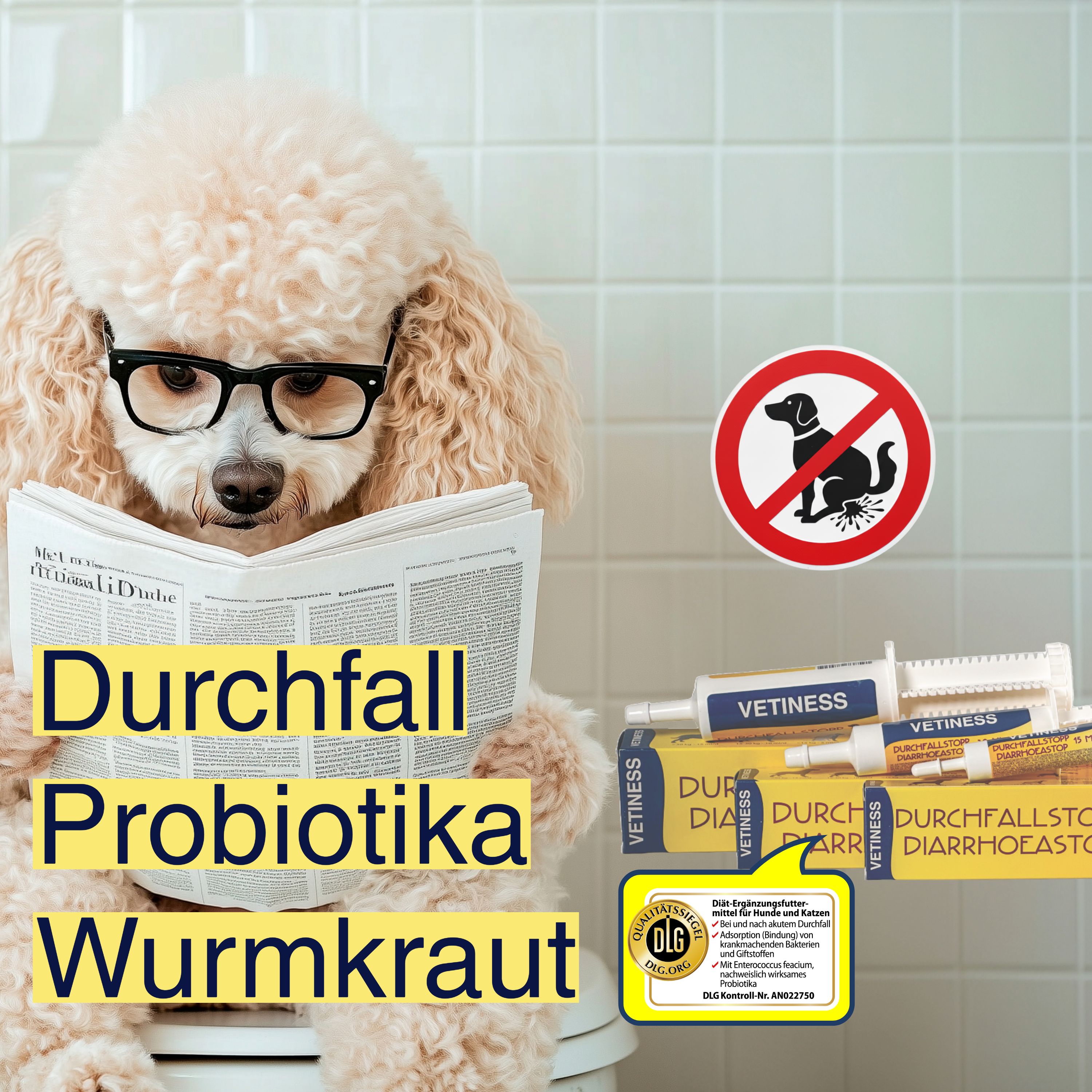 EnteroFit - Verdauung