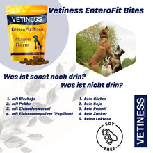 Lade das Bild in den Galerie-Viewer, Vetiness EnteroFit Bites
