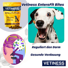 Lade das Bild in den Galerie-Viewer, Vetiness EnteroFit Bites
