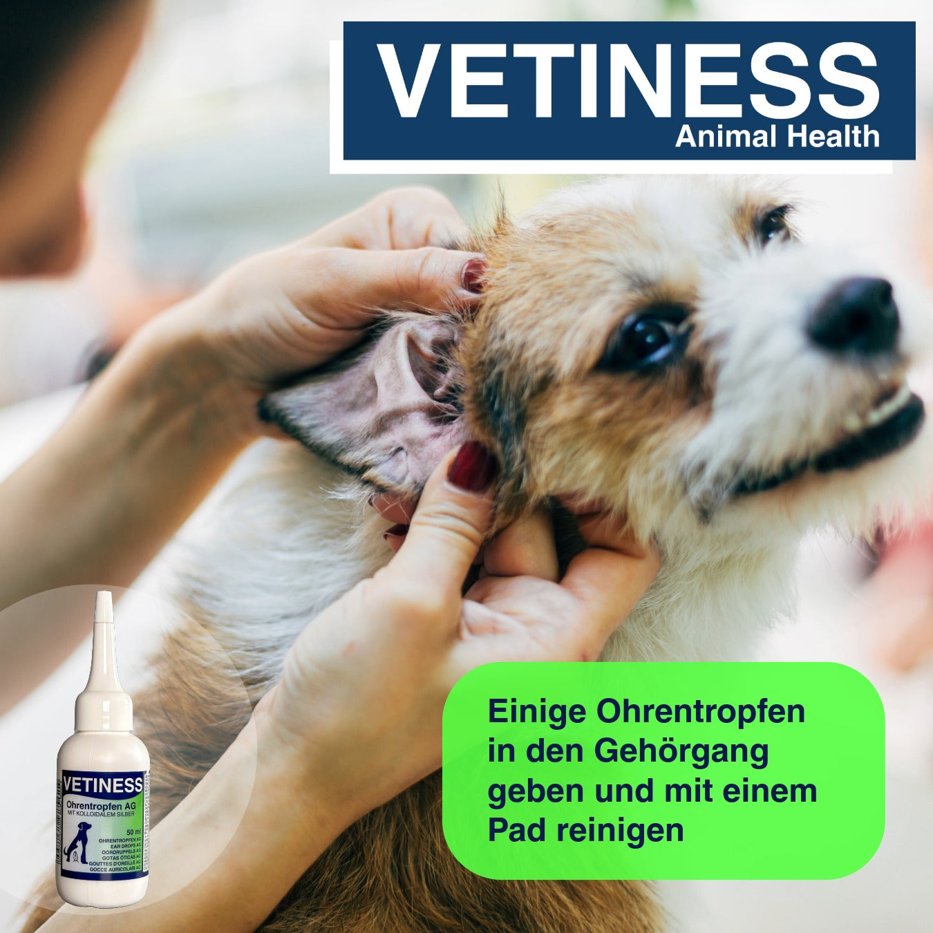 Vetiness Ohrentropfen AG 50 ml