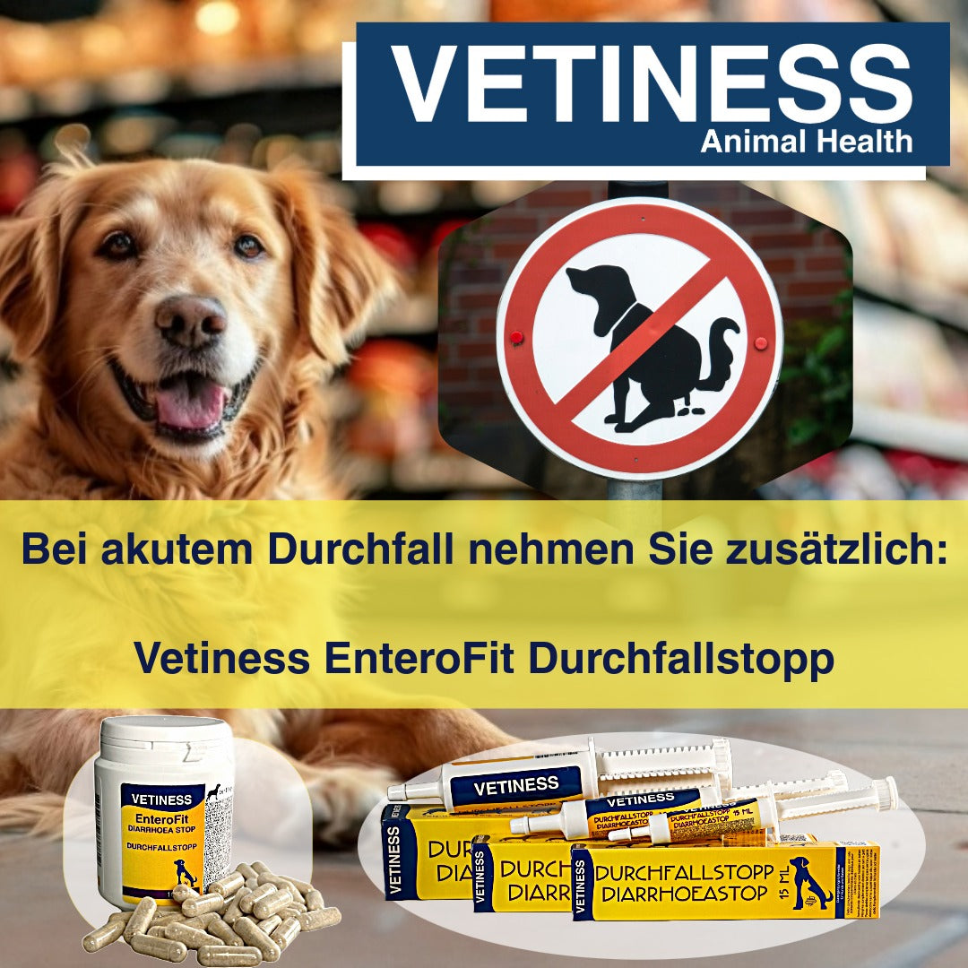 Vetiness EnteroFit Bites – Probiotika für Hunde