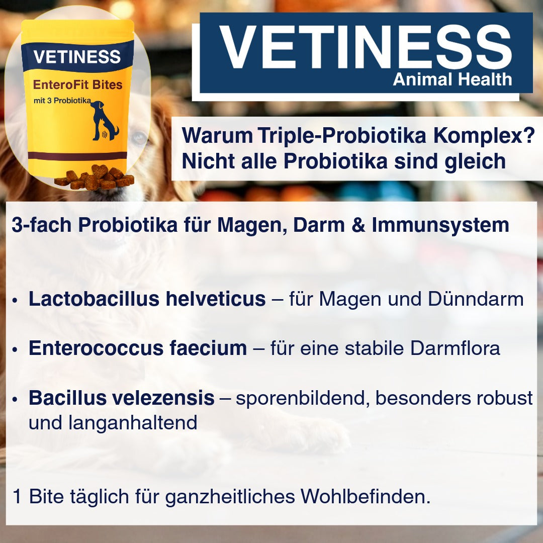 Vetiness EnteroFit Bites – Probiotika für Hunde