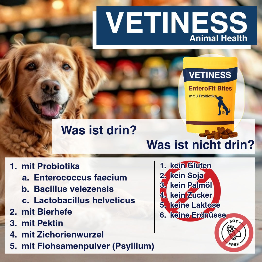 Vetiness EnteroFit Bites – Probiotika für Hunde