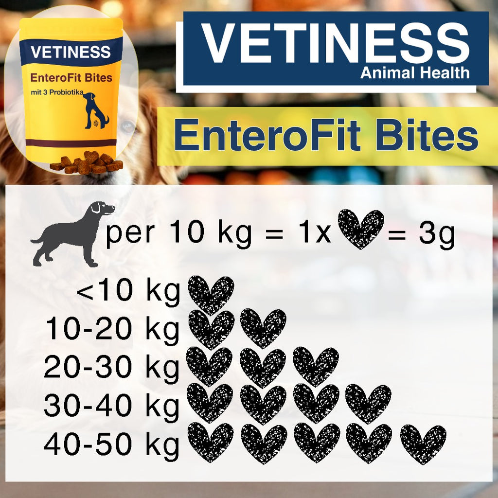 Vetiness EnteroFit Bites – Probiotika für Hunde