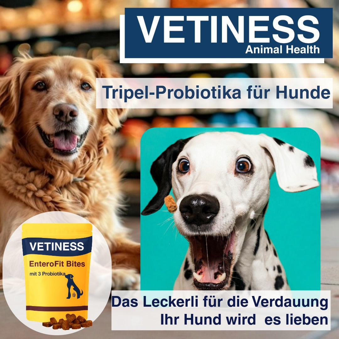 Vetiness EnteroFit Bites – Probiotika für Hunde