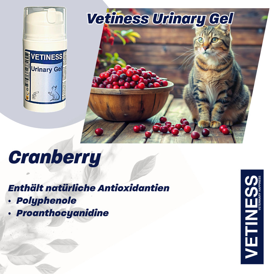 Vetiness Urinary Gel