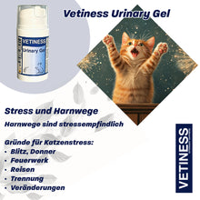 Lade das Bild in den Galerie-Viewer, Vetiness Urinary Gel
