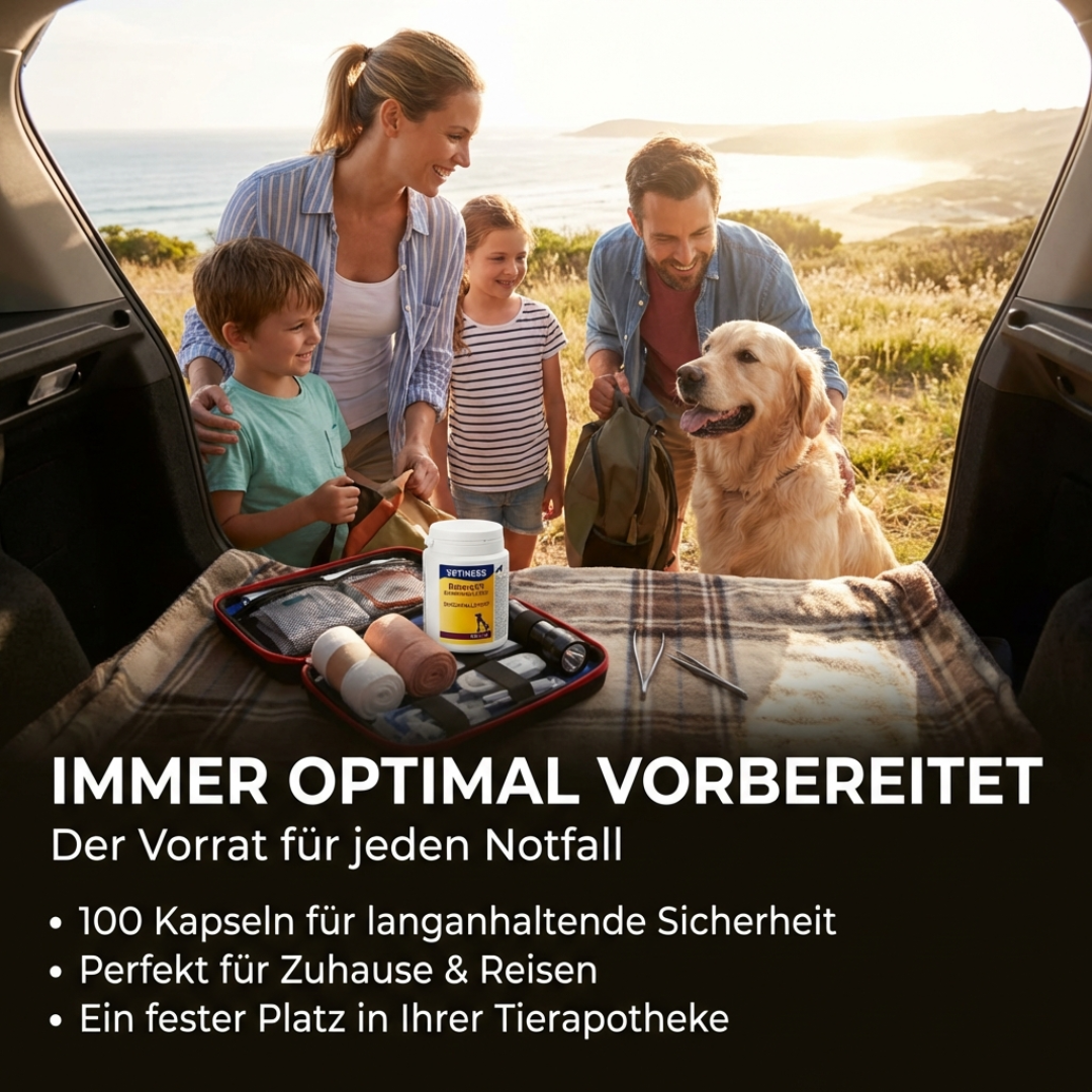 Vetiness EnteroFit Durchfallstopp Kapseln für Hunde und Katzen - 100 Kapseln