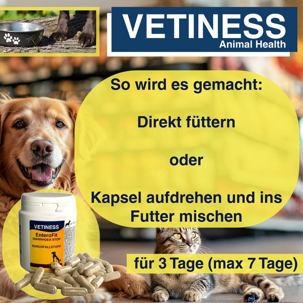 Vetiness EnteroFit Durchfallstopp Kapseln für Hunde und Katzen - 100 Kapseln