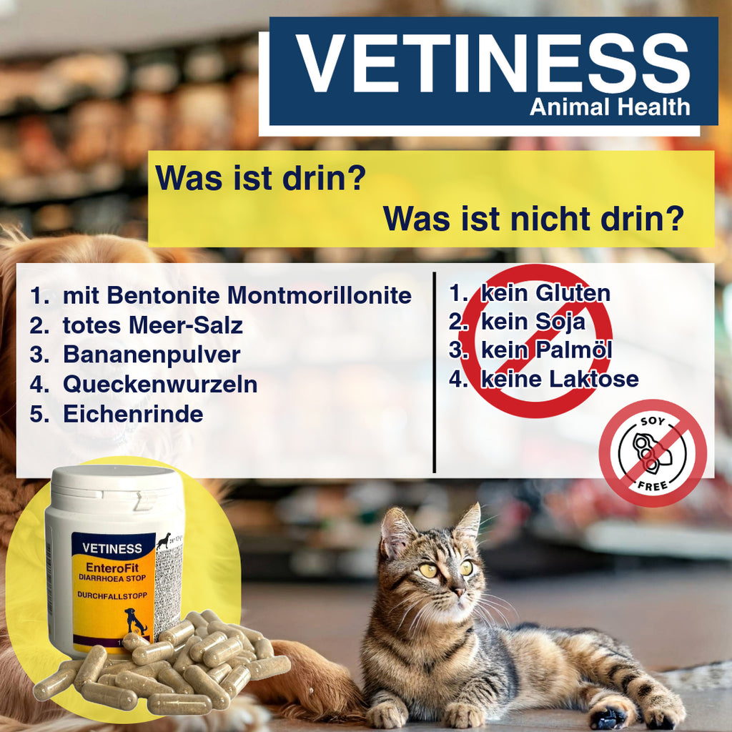 Vetiness EnteroFit Durchfallstopp Kapseln für Hunde und Katzen - 100 Kapseln