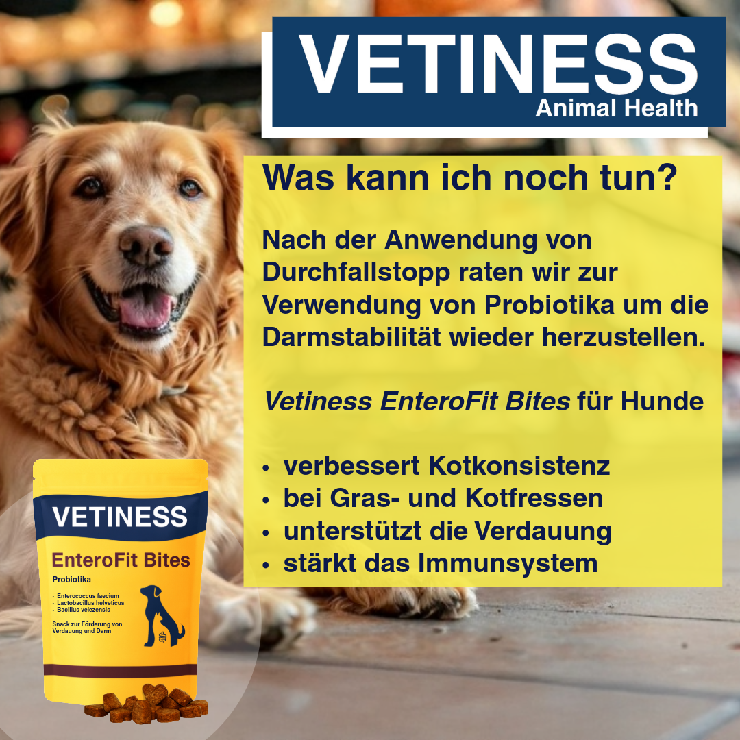 Vetiness Enterofit DurchfallStopp Paste für Hunde