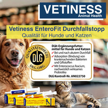 Lade das Bild in den Galerie-Viewer, Vetiness DurchfallStopp Hund und Katze
