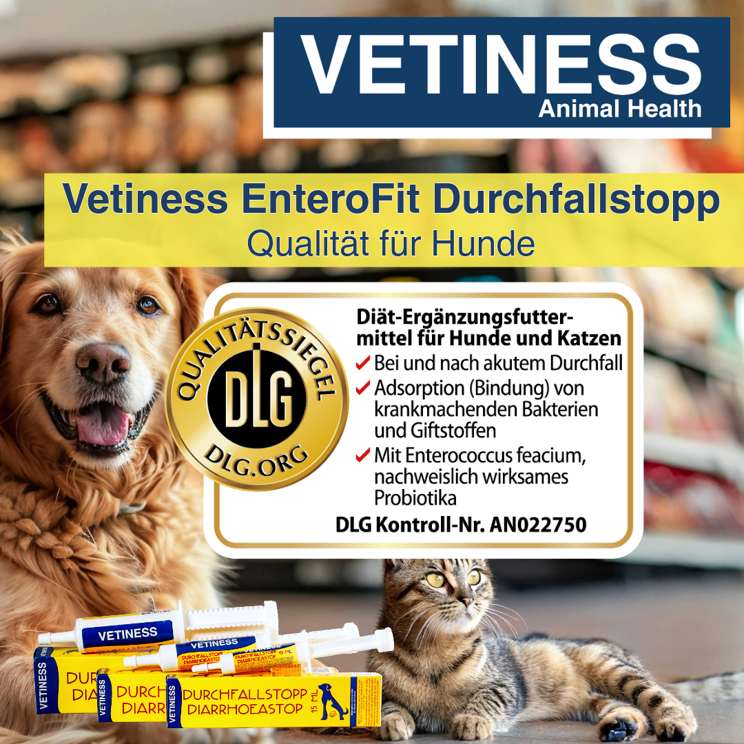 Vetiness Enterofit DurchfallStopp Paste für Hunde