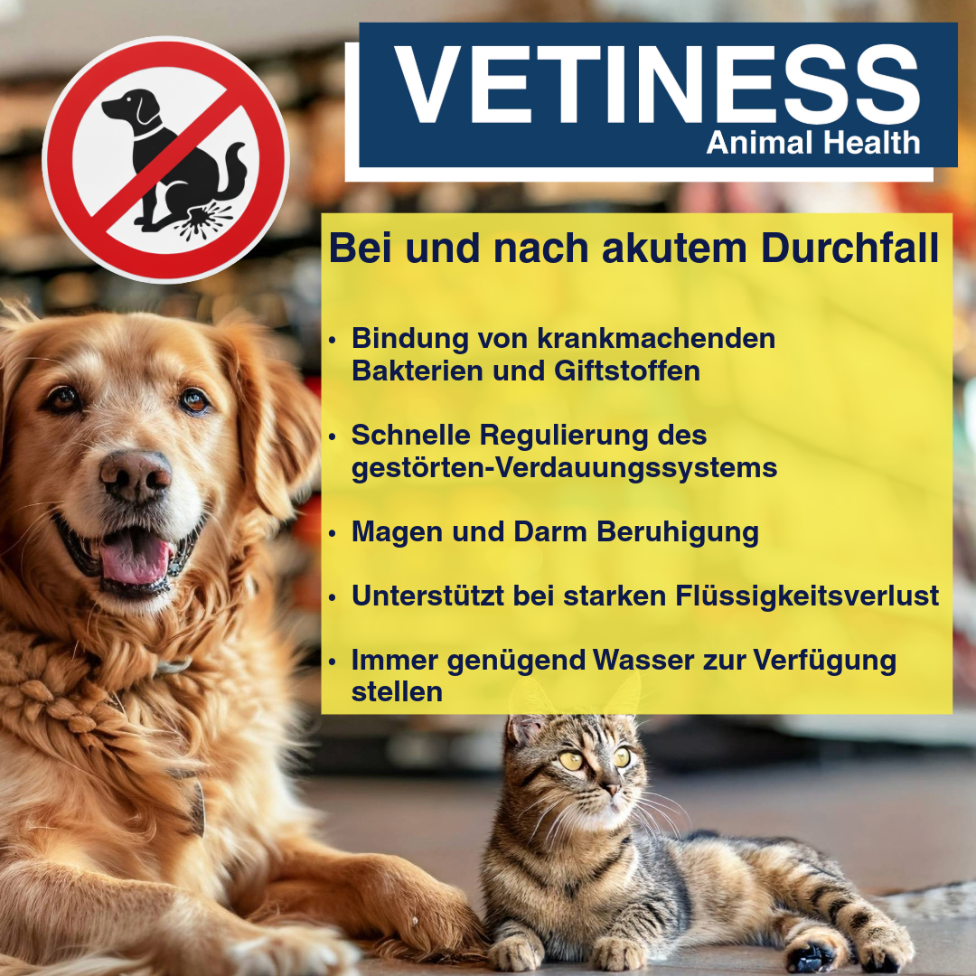 Vetiness Enterofit DurchfallStopp Paste für Hunde