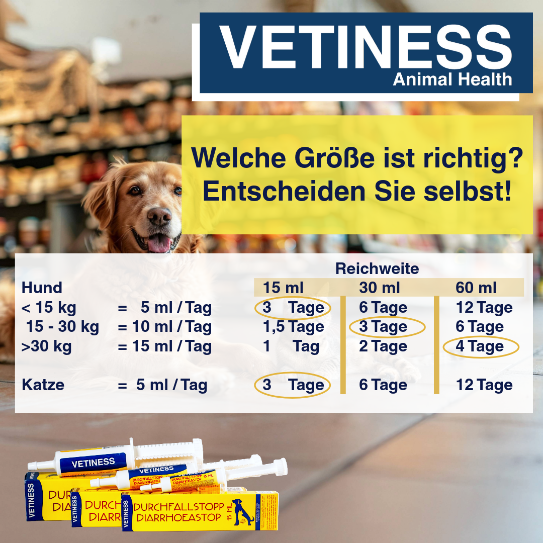 Vetiness Enterofit DurchfallStopp Paste für Hunde