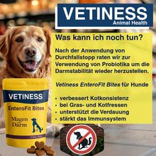Lade das Bild in den Galerie-Viewer, Vetiness DurchfallStopp Hund und Katze
