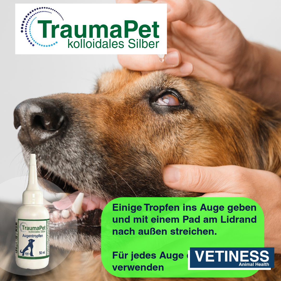 Traumapet Augentropfen mit kolloidalem Silber für Hunde und Katzen 50 ml