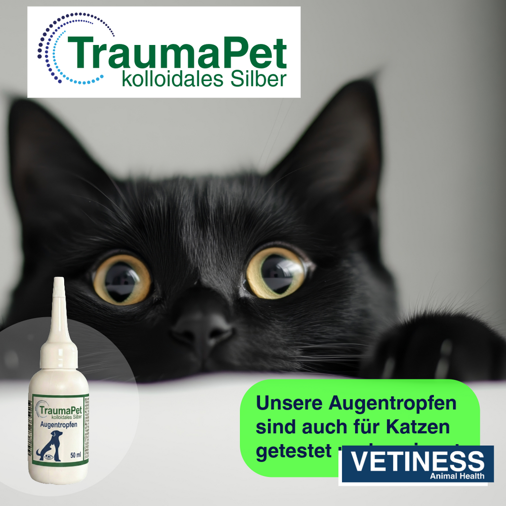 Traumapet Augentropfen mit kolloidalem Silber für Hunde und Katzen 50 ml