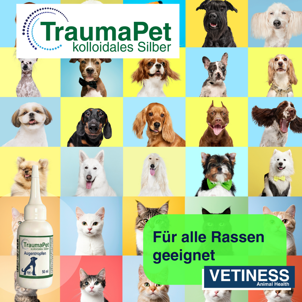 Traumapet Augentropfen mit kolloidalem Silber für Hunde und Katzen 50 ml
