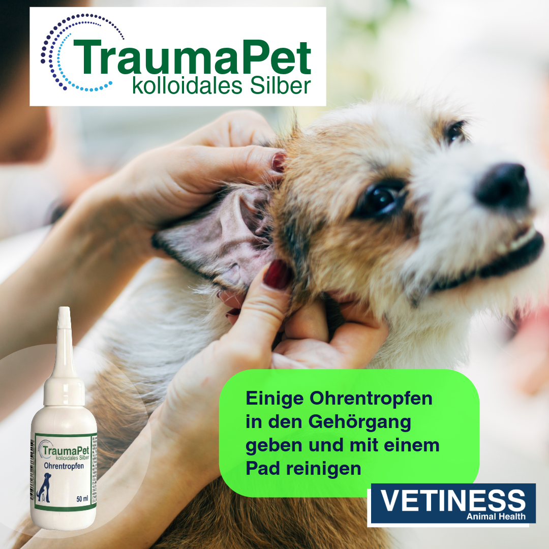 Traumapet Ohrentropfen mit kolloidalem Silber für Hunde und Katzen 50 ml