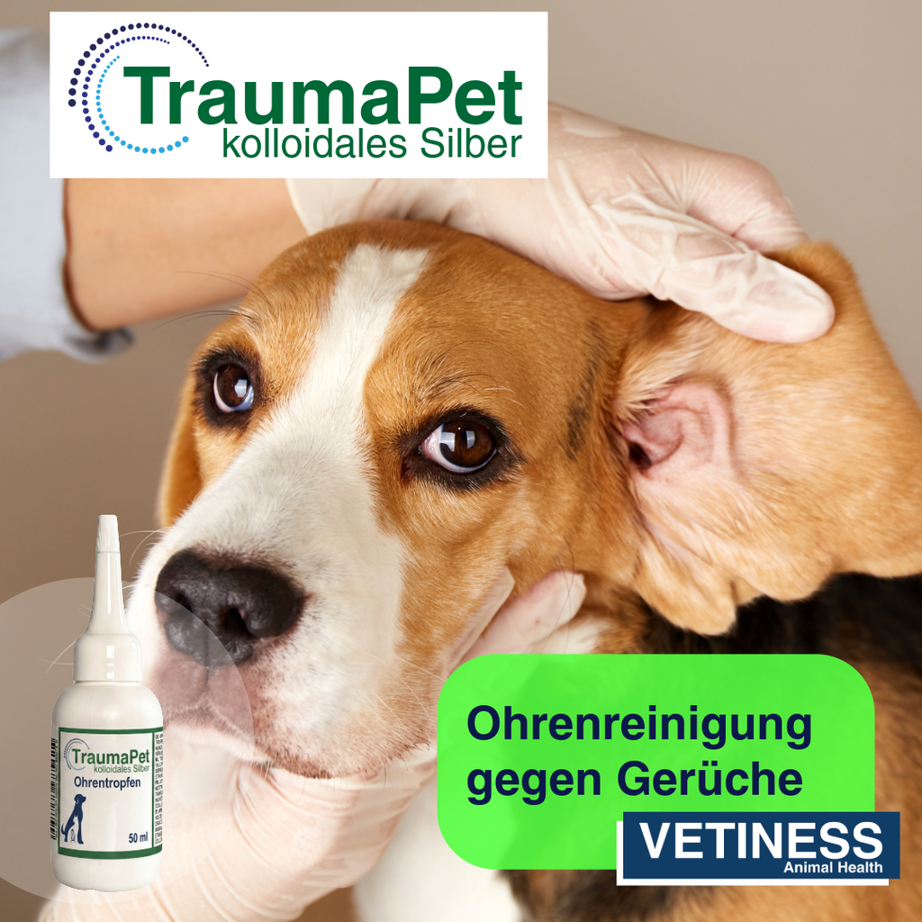 Traumapet Ohrentropfen mit kolloidalem Silber für Hunde und Katzen 50 ml