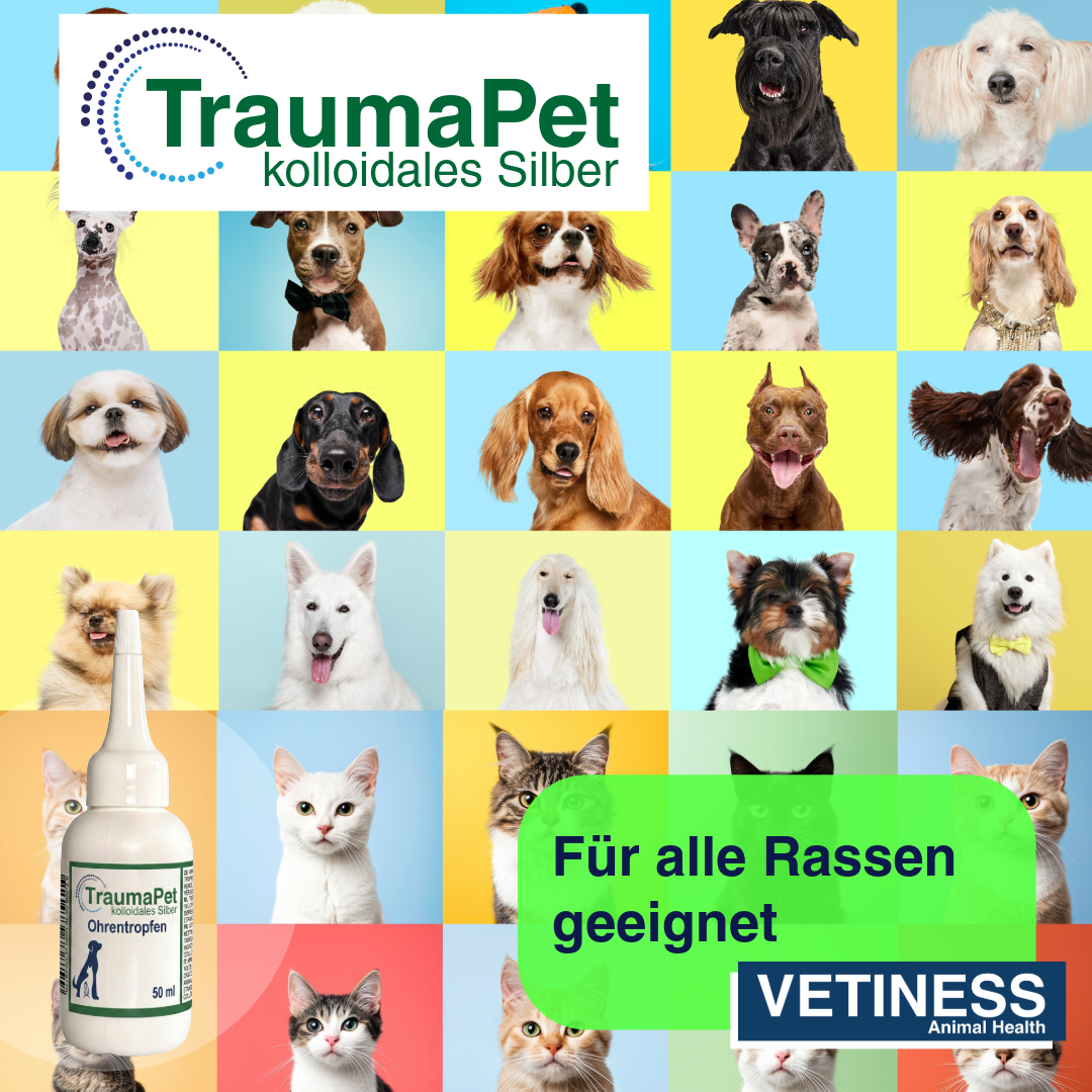 Traumapet Ohrentropfen mit kolloidalem Silber für Hunde und Katzen 50 ml
