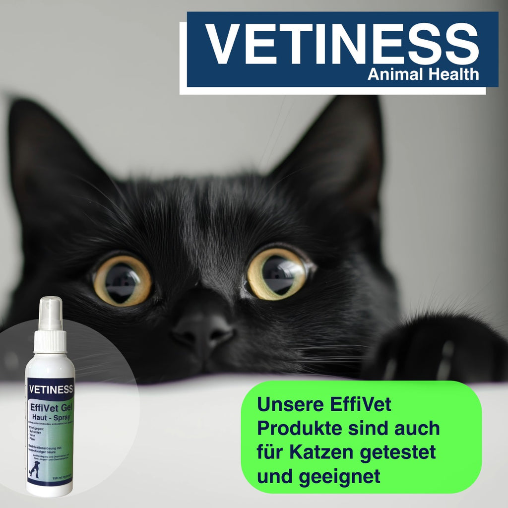 Vetiness EffiVet Gel Hautspray 150 ml