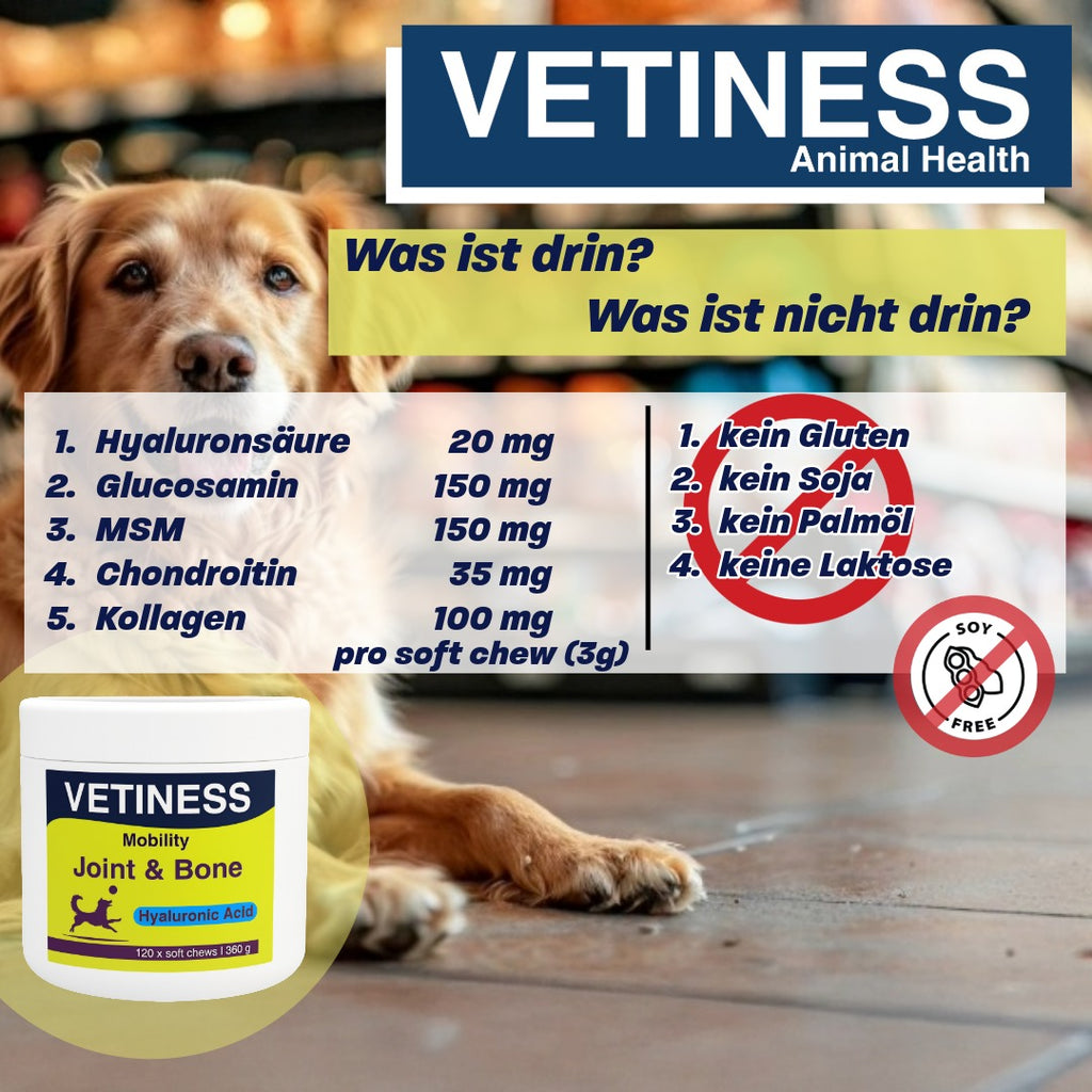 Vetiness Mobility - Gelenke und Knochen - 120 Bites