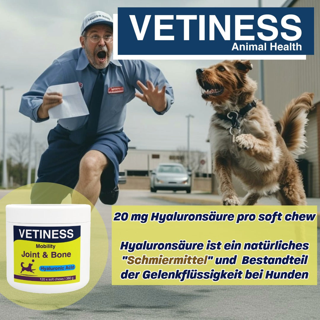 Vetiness Mobility - Gelenke und Knochen - 120 Bites