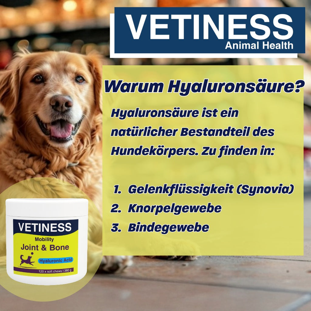 Vetiness Mobility - Gelenke und Knochen - 120 Bites
