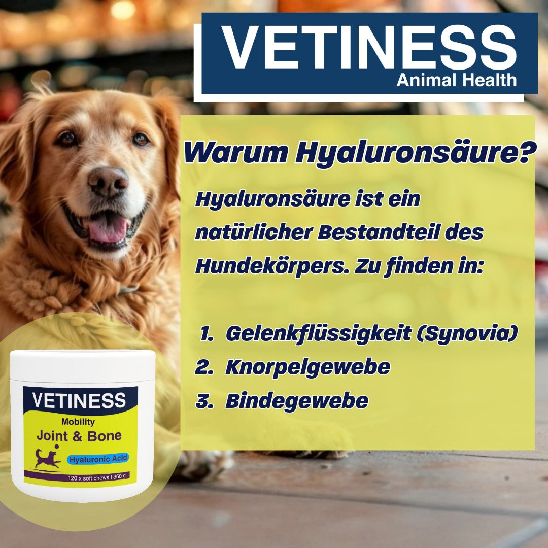 Vetiness Mobility - Gelenke und Knochen - 120 Bites