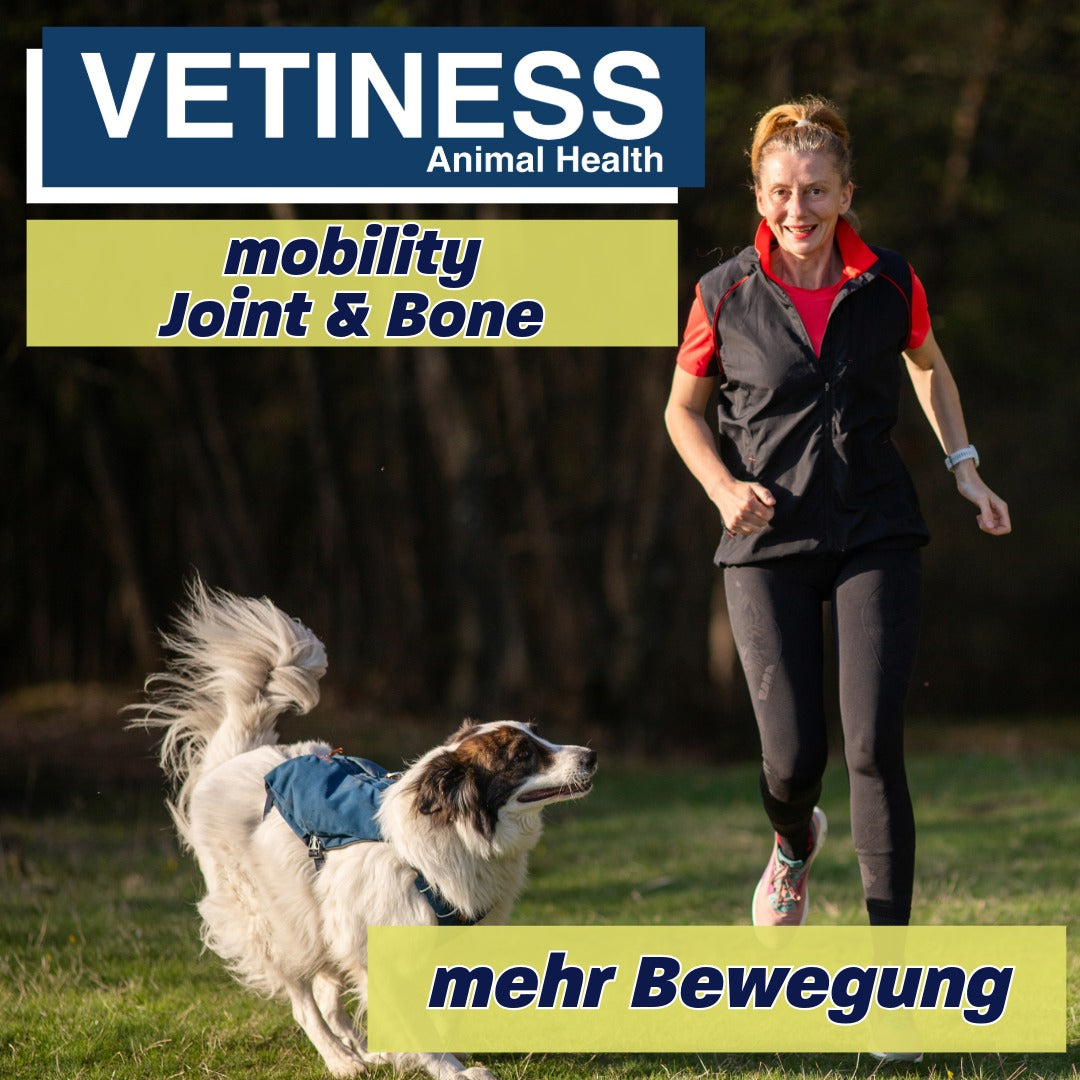 Vetiness Mobility - Gelenke und Knochen - 120 Bites